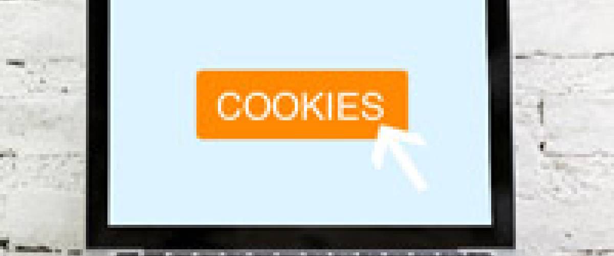 3.časť: Zber osobných údajov pre cookies